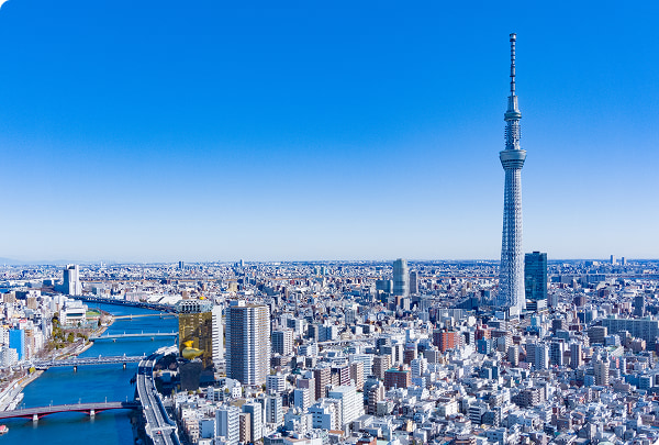 就職・転勤・進学などを背景に、常に一定の人口流入がある東京エリア